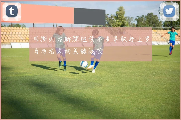韦斯利左脚踝轻伤不重争取赶上罗马与尤文的关键战役